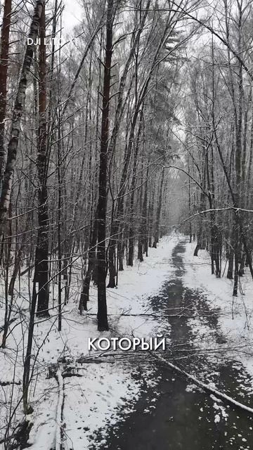 Топ-3 факта о DJI Lito X1 ⚡️