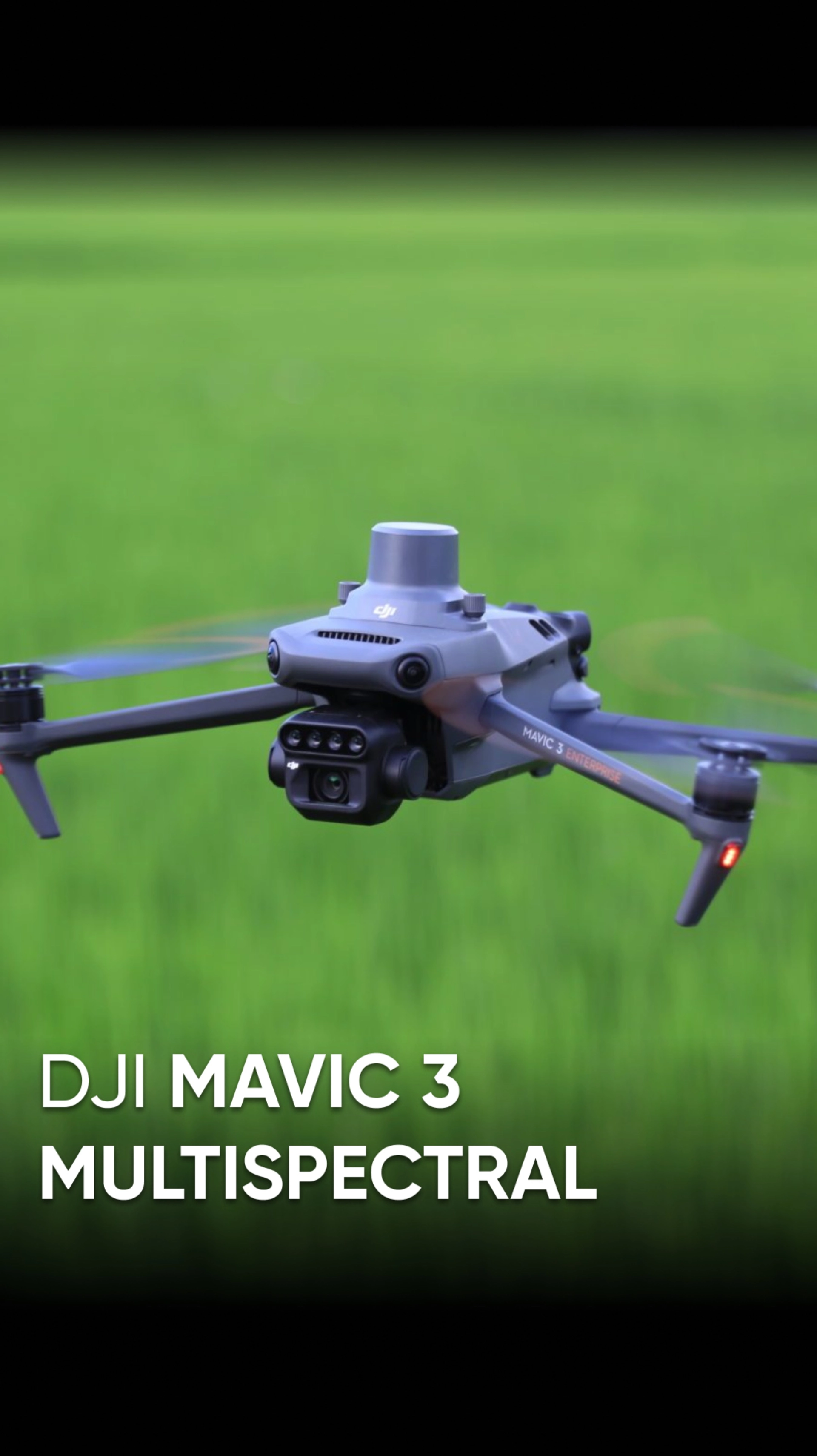 DJI Mavic 3 Multispectral - дрон, который видит здоровье растений #dji #квадрокоптеры #djimavic3