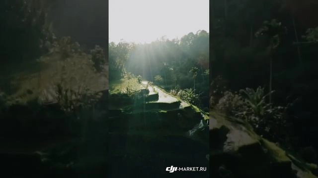 DJI Avata
