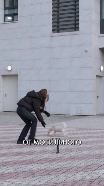DJI Ronin RS5 — новинка, которая подойдет не каждому