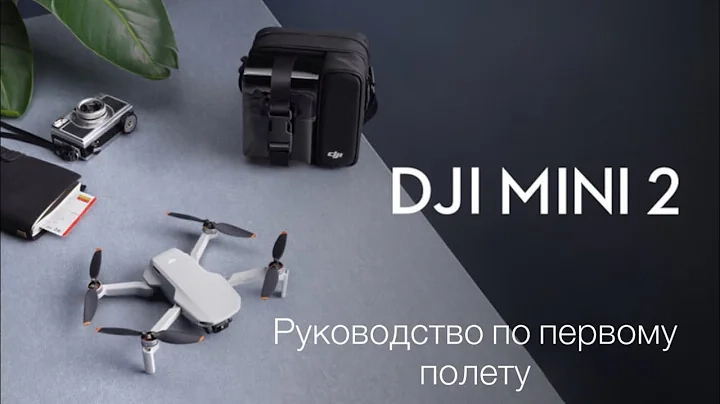 DJI Mini 2 Инструкция для начинающих