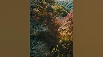 DJI Mavic 3